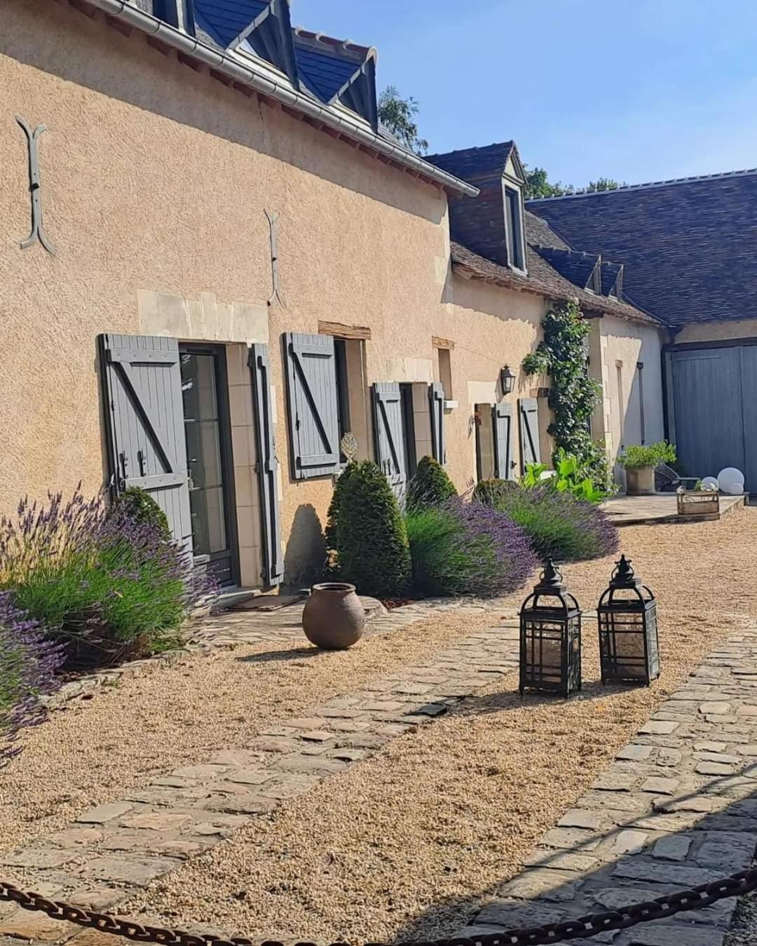 Отель Domaine De La Limetiere Neuvy-le-Roi Экстерьер фото